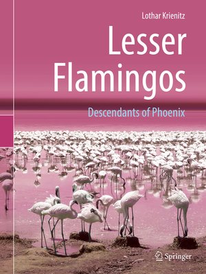 cover image of Lesser Flamingos